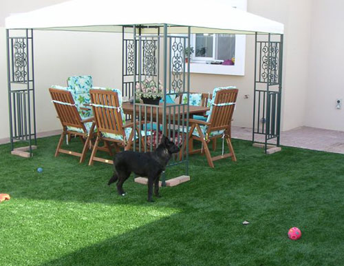 synthetic lawn