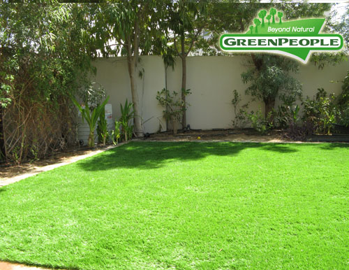 synthetic lawn