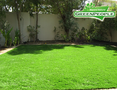 synthetic lawn