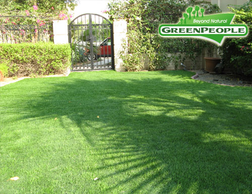 synthetic lawn