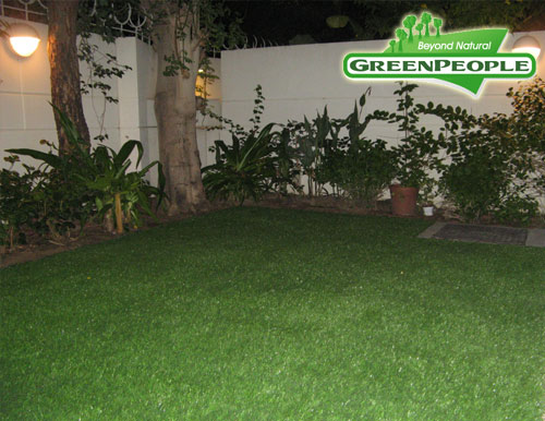 synthetic lawn