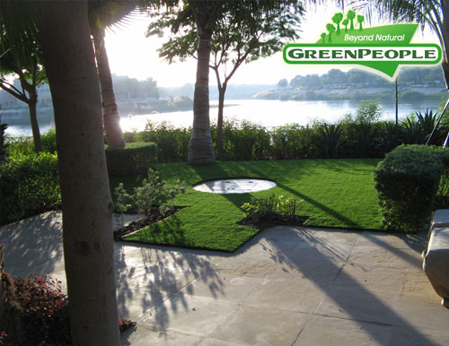 synthetic lawn