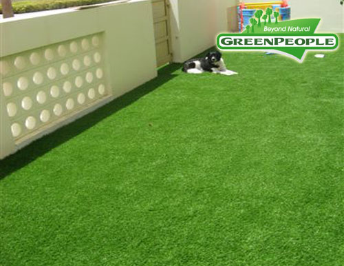 synthetic lawn