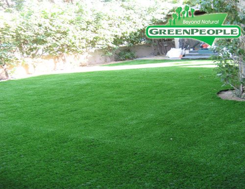 synthetic lawn
