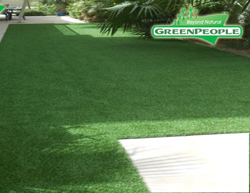 synthetic lawn