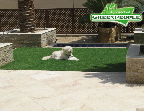synthetic lawn