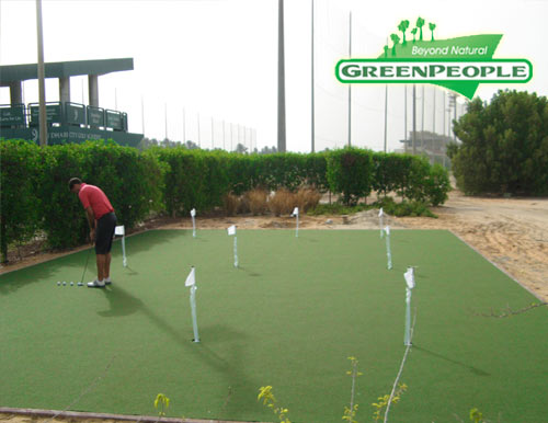 synthetic lawn