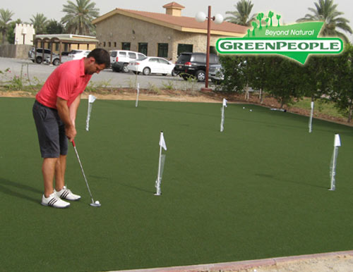 synthetic lawn