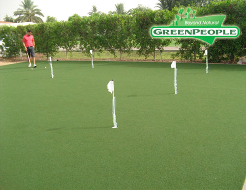 synthetic lawn