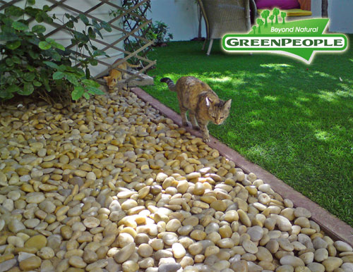 synthetic lawn