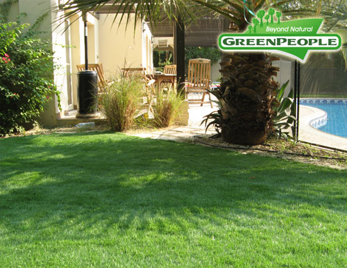 synthetic lawn