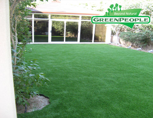 synthetic lawn