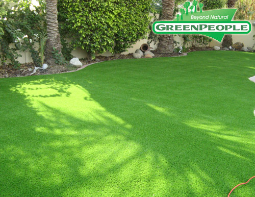 synthetic lawn