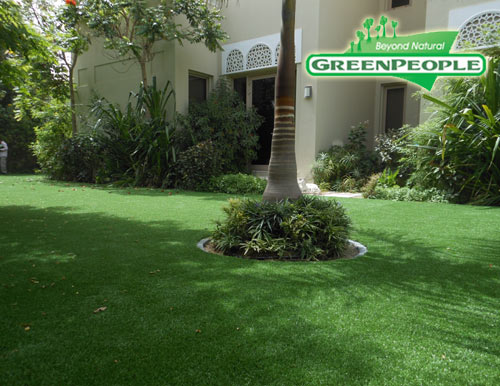 synthetic lawn