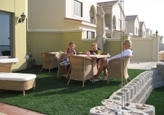 synthetic lawn
