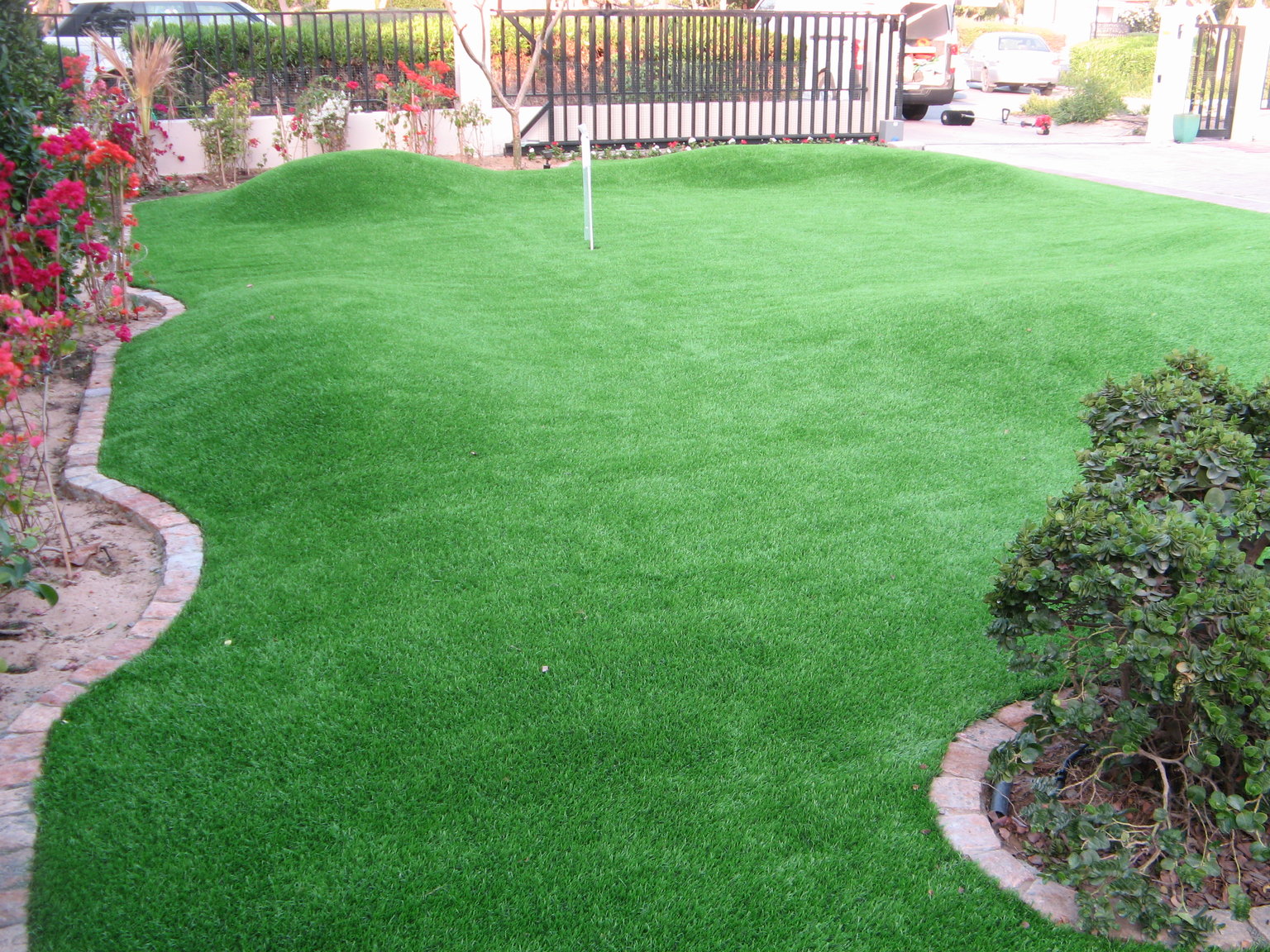 synthetic lawn