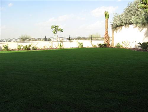 synthetic lawn