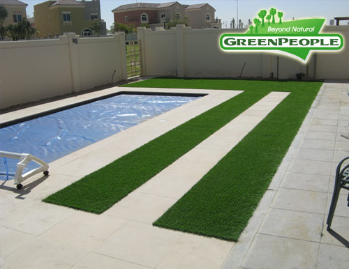 synthetic lawn